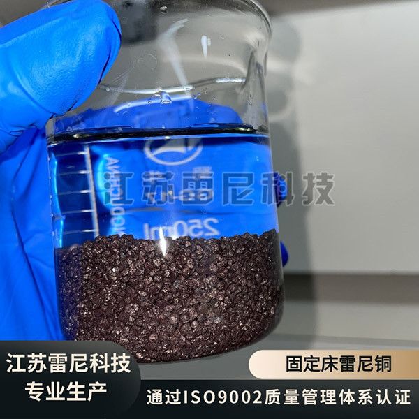 固定床雷尼銅