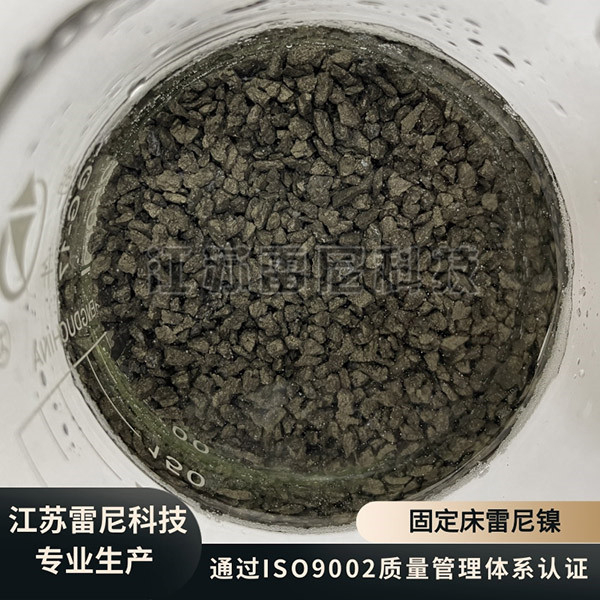 固定床雷尼鎳